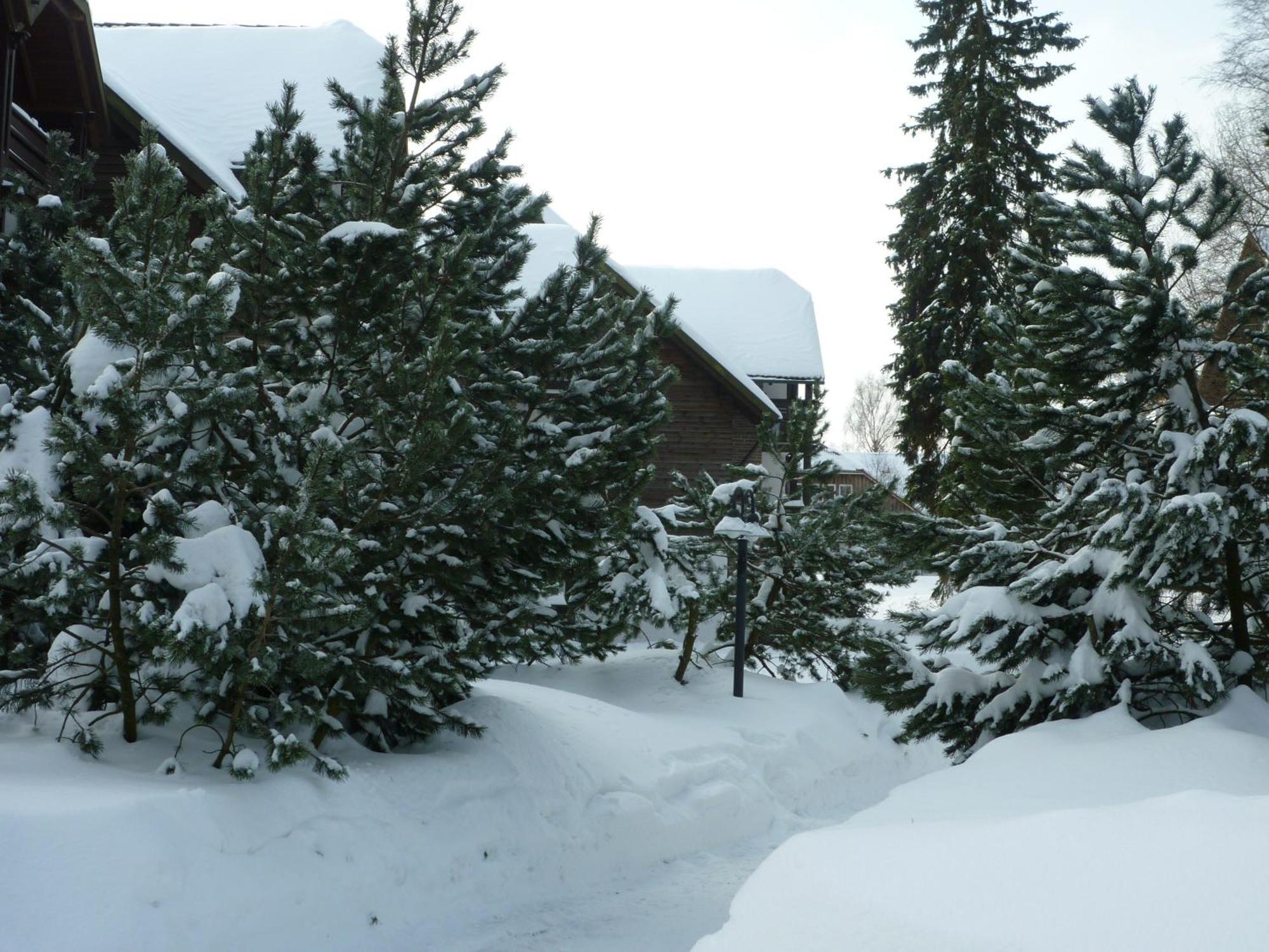 Hapimag Ferienwohnungen Braunlage Exterior foto